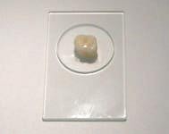 Fig. 5 Photograph of Tooth Appearance
