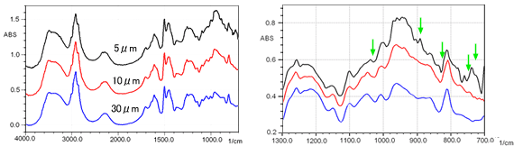 Fig. 1 Specular Reflection Absorption Spectra of Novolac Resin at 30, 10, and 5 µm Fig. 2 Magnifie
