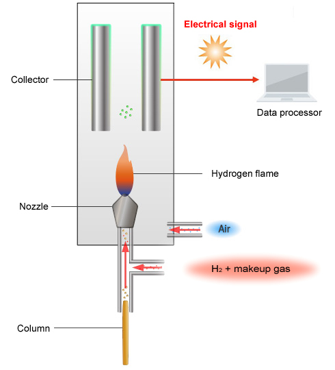 Flame Ionization Detectors