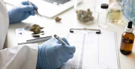 Cannabis and Hemp Testing Solutions
