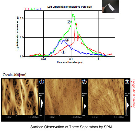 Observations of Separator Pores