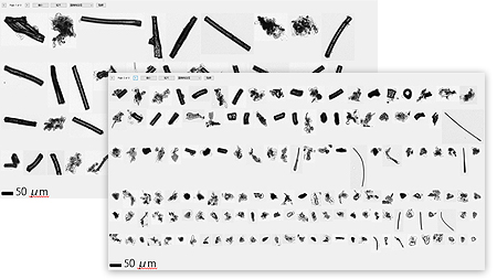 Fig. 1 Particle Images