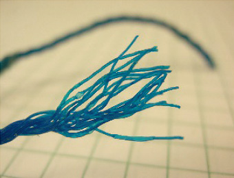 Fishing line ) Collected at Playa de Muro, Majorca