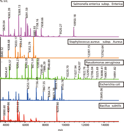 Comparing mass spectra of different bacteria