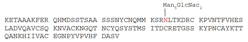 Fig.1 Amino Acid Sequence and Glycosylation of Ribonuclease B