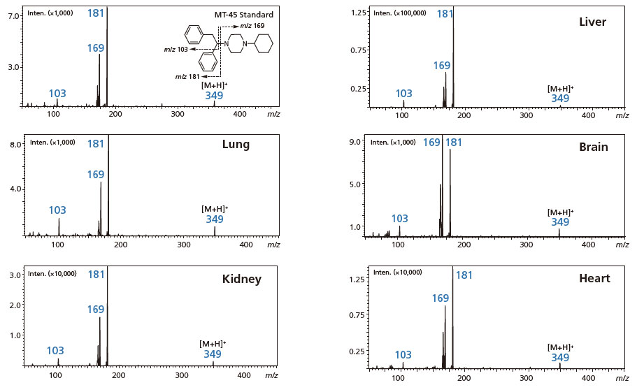 MT-45 Product Ion Scan Results for Each Organ