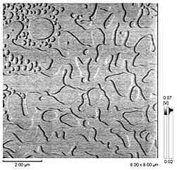 Friction Image