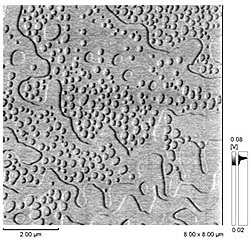 Friction Image