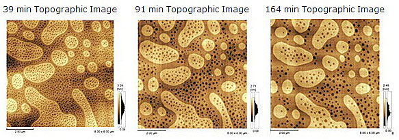 Ferroelectric (TGS) Cleavage Surface (3)