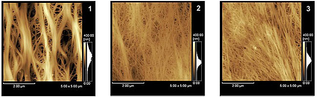 Observation of Li-Ion Battery Separators
