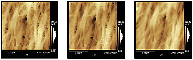 Observation of Li-Ion Battery Separators
