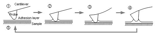 Humidity-Controlled Observations and Force Curve Measurements of a Nafion® Film