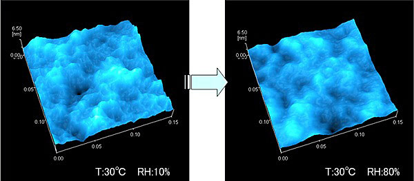 Humidity-Controlled Observations and Force Curve Measurements of a Nafion® Film