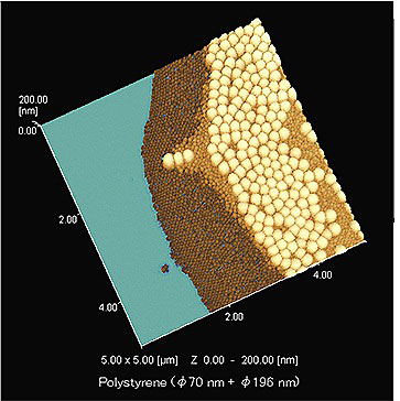 Observation of Polystyrene Latex