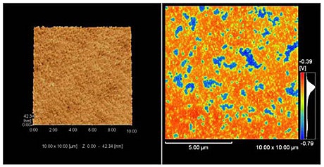 Observation of the Surface Shape and Electric Potential of Magnetic Tapes