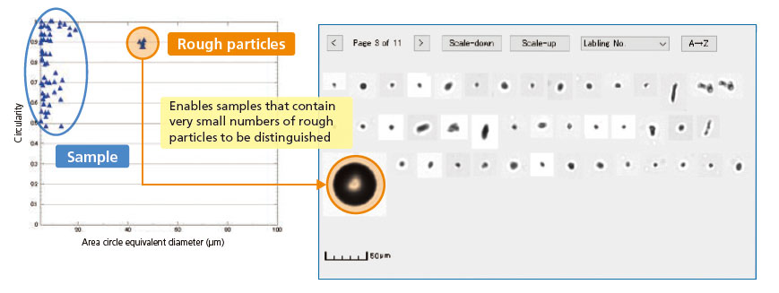 Evaluation of Rough Particles in Paint by Image Analysis