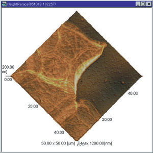 Observation of Skin