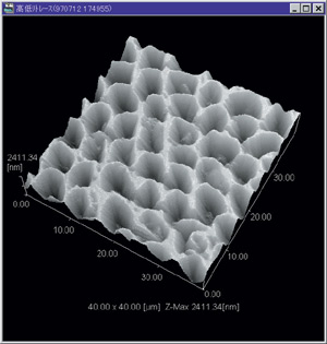 Observation of Honeycomb-like Structures in Teeth