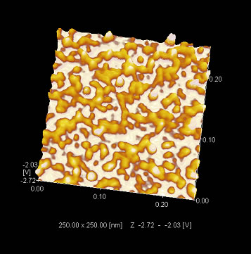 Observation of Fibrinogen