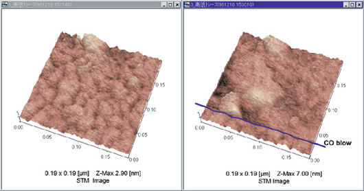 Real-Time Observation of Changes in Nickel Surface