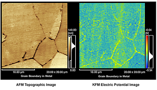 Observation of Grain Boundary in Metal