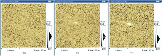 Observation of Ice Core Crystals