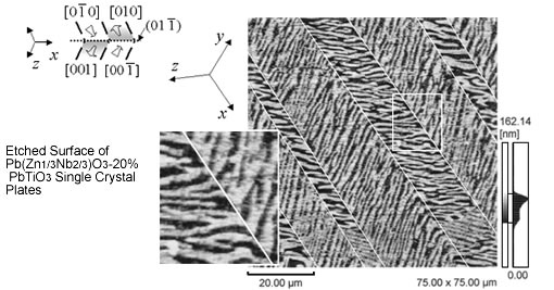 Observation of Domain Wall in Ferroelectrics