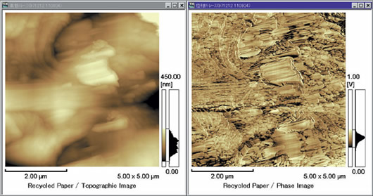 Observation of Recycled Paper