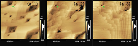 Observation of Calcite in Solution (1)