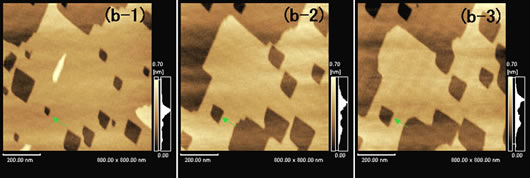 Observation of Calcite in Solution (2)