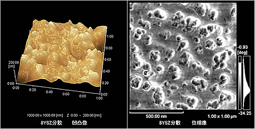 Observation of 8YSZ green sheet