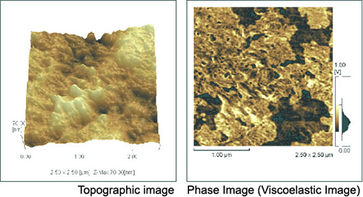 Observation of Polymer Film
