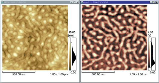 Observation of Styrene-Butadiene Block Copolymer