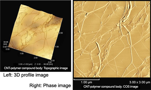 Observation of Compound Bodies Consisting of SWCNT and Acrylic Resin