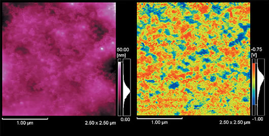 Example of the observation of a dispersing agent