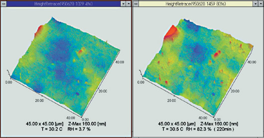Observation of Film Surface / Humidity Changes