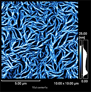 Observation of Tetrakis(4-sulfonato-2-thienyl)porphyrin J-aggregate II