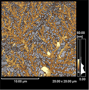 Observation of Tetrakis(4-sulfonato-2-thienyl)porphyrin J-aggregate III