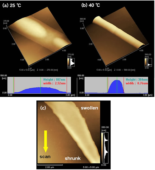 Observation of Thermo-Responsive Nanofiber Mats