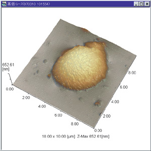 Observation of Fly Ash