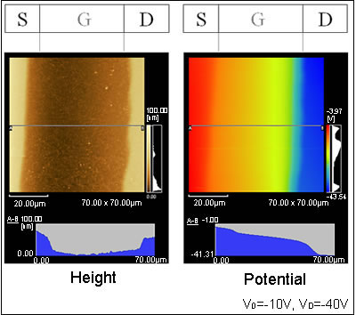 Potential Analysis of Organic Thin-Film Transistors (FET)