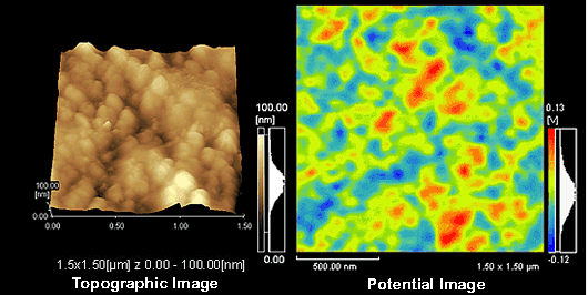 Toner Particle　[Phase/Surface Potential]