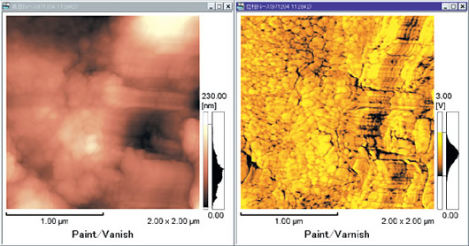 Observation of Coating-Film Cross Sections