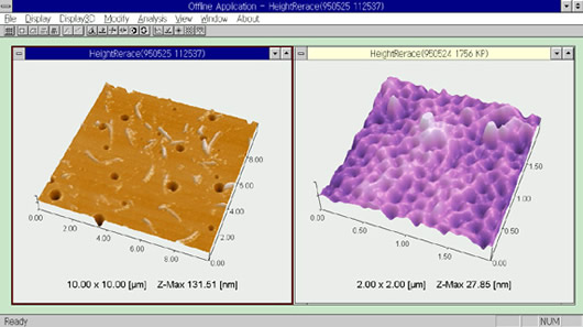 Observation of Bake-Finished Surfaces