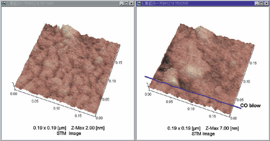 Observation of Realtime Observation of Nickel Surface Change
