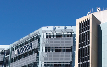 PhD Scholarship at the University of Queensland Centre for Clinical Research