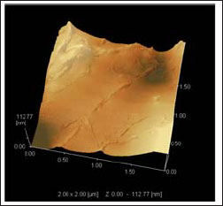 Fig.3 Topographic Image of SWNT in Polymer