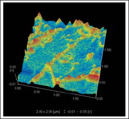 Fig.4 Surface-potential Image of SWNT in Polymer