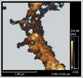 Fig.1 Unpurified DWNT