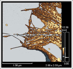 Fig.2 Purified DWNT